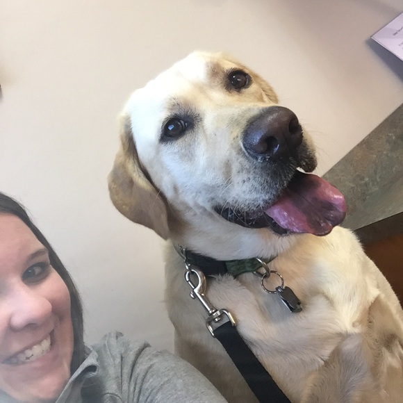 Meet your Posher, Jessie - Picture 1 of 1